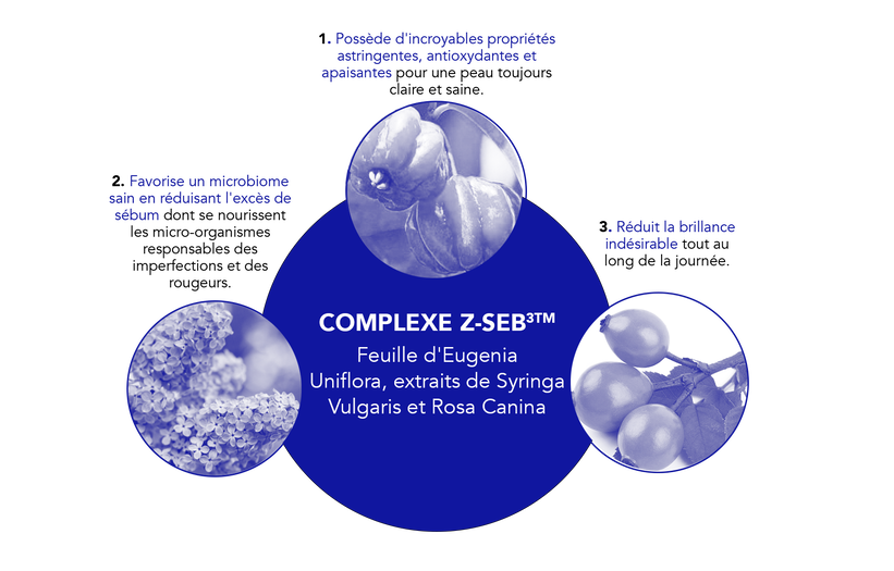 Image de Z-SEB3TM Complexe