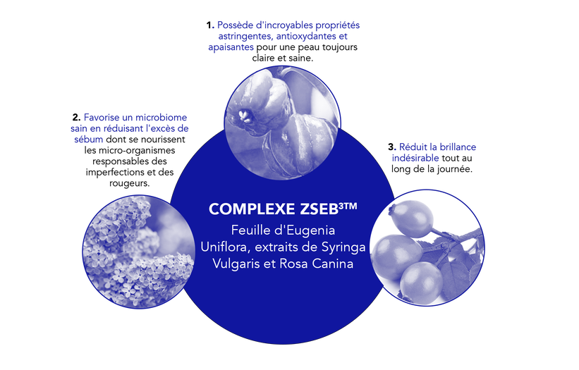 Image de ZSEB3TM Complexe